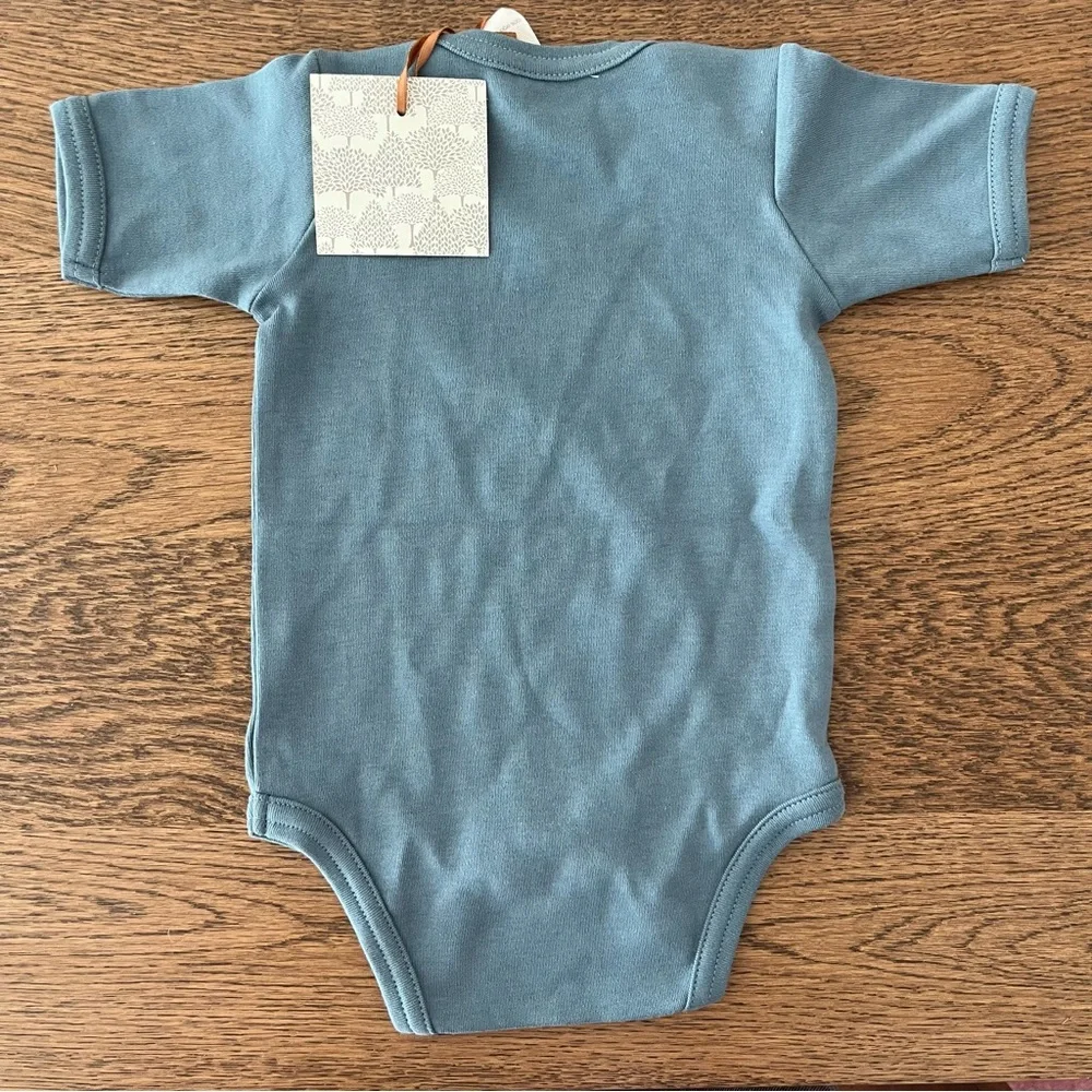 kate quinn new size